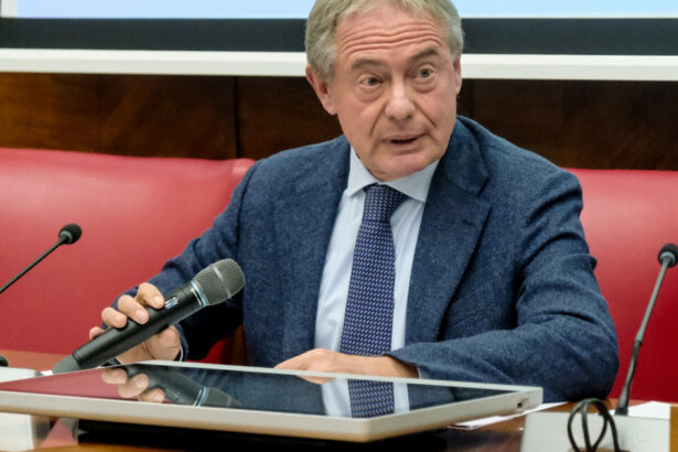 italia va cere ue suspendarea reglementarilor nebunesti din green deal afirma un ministru italian 67f54479a62b7