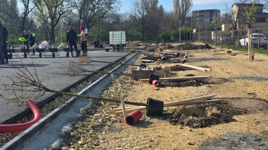 Constanța Renovează: Zeci de Voluntari Revitalizează Palatul Copiilor cu 145 de Arbori de Talie Mare! 1 live foto video constanta restart si zeci de voluntari readuc verdele la palatul copiilor constanta 145 de copaci de talie mare plantati in zona terenurilor de sport 67fa11c9cce47