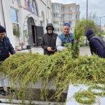 Secretele salciei, emblema sărbătorii Floriilor: Ce să facem cu crengile uscate 2 lucruri mai putin cunoscute despre salcie simbolul floriilor ce trebuie sa facem cu ramurile uscate 67fb7a0d902b7