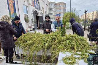 lucruri mai putin cunoscute despre salcie simbolul floriilor ce trebuie sa facem cu ramurile uscate 67fb7a0d902b7