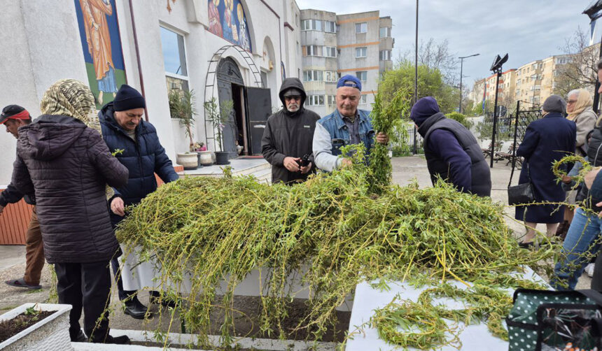 Secretele salciei, emblema sărbătorii Floriilor: Ce să facem cu crengile uscate 1 lucruri mai putin cunoscute despre salcie simbolul floriilor ce trebuie sa facem cu ramurile uscate 67fb7a0d902b7