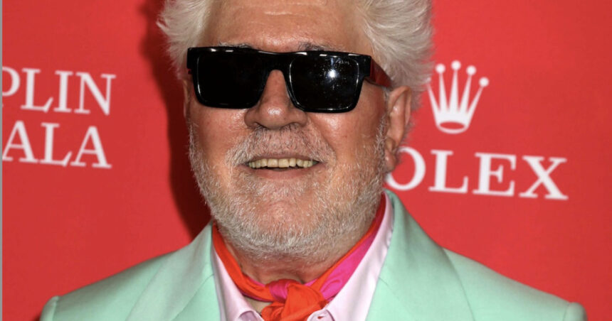 Pedro Almodovar, maestrul cinematografiei, îl demască pe Trump în New York: „Vezi-ți numele scris în paginile istoriei ca o rușine!” 1 marele regizor pedro almodovar il face praf pe trump intr un discurs la new york vei ramane in istorie ca o catastrofa 6812102ca0652