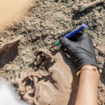 Secretele Cimitirului Medieval de lângă Aeroportul Cardiff: Zeci de Schelete de Femei Găsite în Poziții Surprinzătoare 3 misterele cimitirului medieval descoperit langa aeroportul cardiff zecile de schelete gasite in pozitii neobisnuite sunt de femei 6808c72685e9e