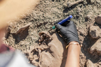 misterele cimitirului medieval descoperit langa aeroportul cardiff zecile de schelete gasite in pozitii neobisnuite sunt de femei 6808c72685e9e
