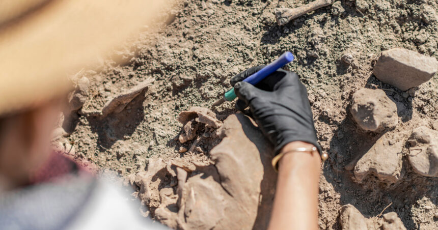 Secretele Cimitirului Medieval de lângă Aeroportul Cardiff: Zeci de Schelete de Femei Găsite în Poziții Surprinzătoare 1 misterele cimitirului medieval descoperit langa aeroportul cardiff zecile de schelete gasite in pozitii neobisnuite sunt de femei 6808c72685e9e