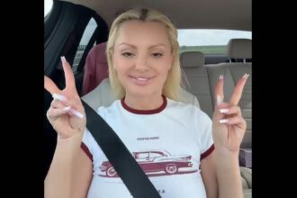 motivul pentru care fanii au pus o la zid pe alexandra stan ce a facut vedeta pe autostrada nu stiam 67ffb2340657a