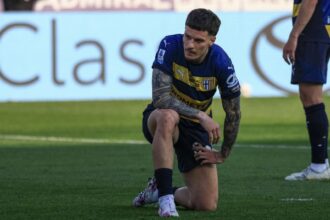 news alert dennis man e dorit de o alta echipa din serie a 6804d019d6da2