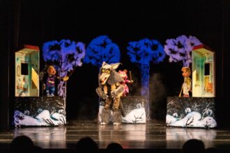 noul teatru pentru copii de la delfinariu va costa peste 90 de milioane de lei lucrarile vor dura minimum doi ani 67fd8365a2d50