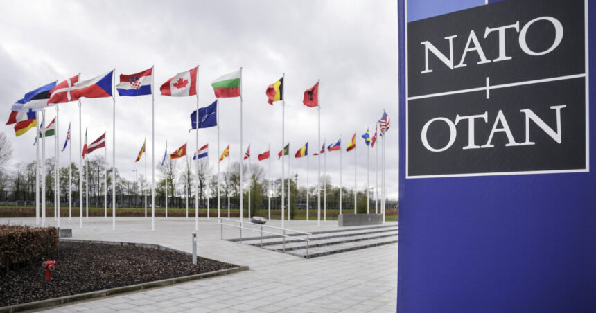 Oficialii NATO își revizuiesc discursul despre climă, egalitate de gen și diversitate pentru a se alinia cu viziunea administrativă a lui Trump (Politico) 1 oficialii nato isi ajusteaza limbajul legat de clima gen si diversitate pentru a face pe plac administratiei trump politico 68032421da136