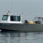 Pescador clandestin, prins de polițiștii de frontieră cu o captură impresionantă de peste 760 kg de pește! 3 pescador neinregistrat cu peste 760 kg de peste la bord depistat de politistii de frontiera 67f3f59aacc24