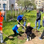 Constanța va îmbrățișa natura cu peste 300 de noi arbori! 2 peste 300 de arbori vor fi plantati la constanta 67f79b7d9fd12