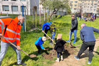peste 300 de arbori vor fi plantati la constanta 67f79b7d9fd12