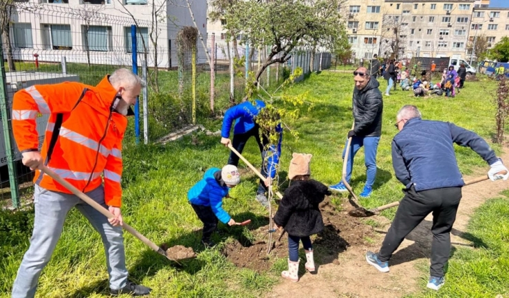 Constanța va îmbrățișa natura cu peste 300 de noi arbori! 1 peste 300 de arbori vor fi plantati la constanta 67f79b7d9fd12