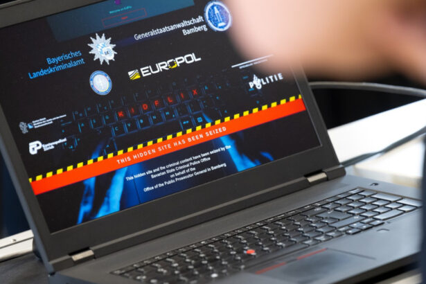 politisti din 38 de tari inclusiv romania au destructurat una dintre cele mai mari platforme de pedofilie din lume 67eec76609586