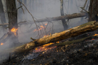 pompierii din arges incearca sa stinga un incendiu de padure extins pe aproape 30 000 mp vantul puternic ingreuneaza interventia 680232faaf005