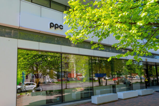 ppc fostul enel isi anunta clientii din romania cum va lucra cu ei in urmatoarea mini vacanta 67fcfc47e41f6