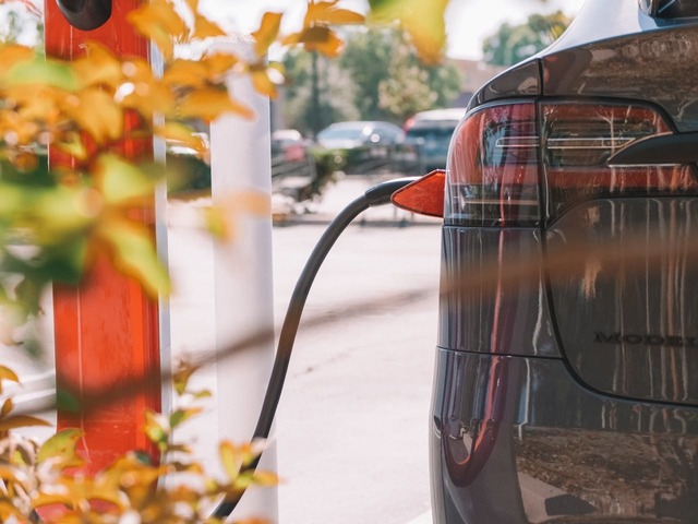 Tesla în declin: Venitul net a scăzut cu 71% comparativ cu anul anterior, iar Elon Musk asigură investitorii că va diminua implicarea în DOGE. 1 profiturile tesla se prabusesc venitul net a scazut cu 71 fata de anul precedent elon musk promite investitorilor ca isi va reduce activitatea in doge 68087f631782b