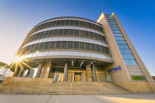 romgaz distribuie mai putin de o cincime din profitul net sub forma de dividende 6810f89c5e8ac