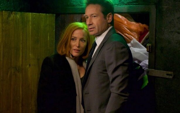 serialul fenomen x files ar putea reveni 68063d2180142