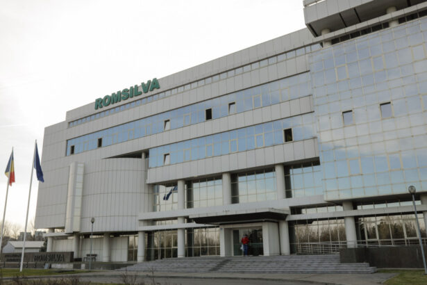 sindicalistii nemultumiti de masurile ministrului fechet reorganizarea romsilva pune in pericol viitorul padurilor romanesti 680f7454aca11