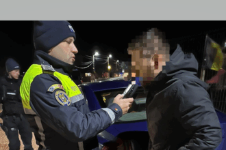 soferi beti si fara permise de conducere depistati de politisti la corbu si murfatlar 681238eab1ecd