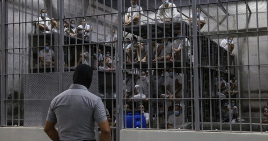 SUA au trimis în El Salvador zece membri ai grupărilor teroriste, destinul lor fiind o imensă penitenciară din Cecot. 1 sua au expulzat in el salvador zece criminali din organizatii teroriste vor fi inchisi in mega inchisoarea cecot 67fc212b33845