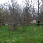 Tragedie în Valu lui Traian: Tânărul de 23 de ani, dispărut, descoperit fără viață într-un canal de drenaj, lăsând în urmă un mesaj de rămas bun. 3 tanarul de 23 de ani disparut din valu lui traian gasit decedat intr un canal de scurgere ape pluviale al cfr el lasase un mesaj de adio 67ec19b876810
