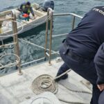 Trei suspecți reținuți de poliție, surprinși cu 350 kg de pește pescuit fără autorizație 2 trei barbati prinsi de politisti cu 350 kg de peste capturat ilegal 67f6a46350836