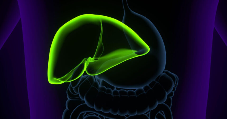 Un nou tratament promite să înlocuiască transplantul hepatic în afecțiunile căilor biliare 1 un medicament ar putea elimina necesitatea transplantului hepatic in afectiuni ale cailor biliare 680d56f14bbcb