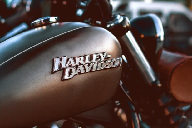 un membru al consiliului de administratie harley davidson demisioneaza invocand ingrijorari grave privind compania scadere de 11 a actiunilor 67f8e98d5a903