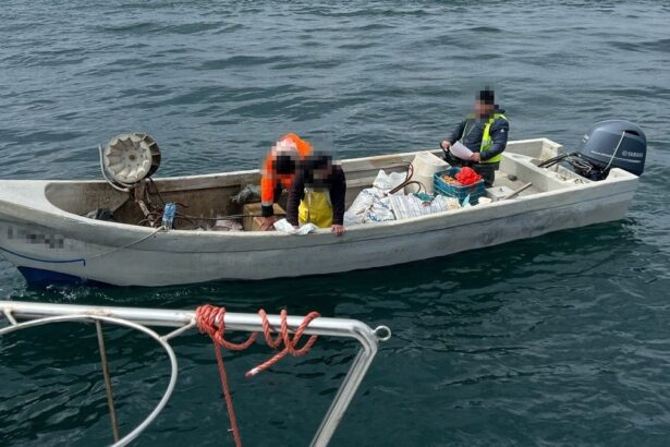 video ambarcatiune cu peste 350 de kilograme de peste capturat ilegal la bord depistata de politistii de frontiera constanteni 67f64275447f7