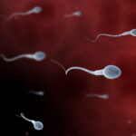 Concurs original inițiat de tineri din Los Angeles pentru a sensibiliza opinia publică cu privire la problemele fertilității masculine 3 video concurs inedit organizat de adolescenti din los angeles care vor sa atraga atentia asupra problemelor de fertilitate masculina 680f1030b3cc3