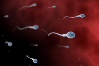 video concurs inedit organizat de adolescenti din los angeles care vor sa atraga atentia asupra problemelor de fertilitate masculina 680f1030b3cc3