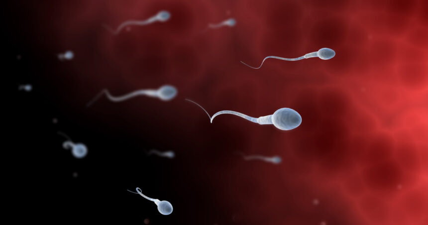 Concurs original inițiat de tineri din Los Angeles pentru a sensibiliza opinia publică cu privire la problemele fertilității masculine 1 video concurs inedit organizat de adolescenti din los angeles care vor sa atraga atentia asupra problemelor de fertilitate masculina 680f1030b3cc3