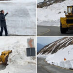 Transalpina, învăluită în zăpadă: Troienele imense depășesc doi metri pe marginea drumului! 2 video deszapezirea pe transalpina continua imagini cu troienele de pe marginea soselei care ating chiar si doi metri inaltime 6809e9836253f