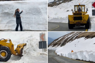video deszapezirea pe transalpina continua imagini cu troienele de pe marginea soselei care ating chiar si doi metri inaltime 6809e9836253f