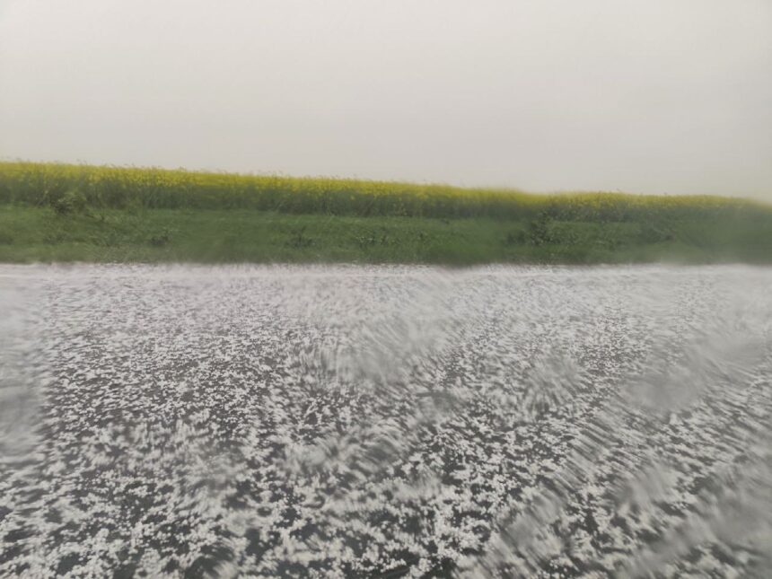 Furtună de grindină devastatoare pe DN 38, între Amzacea și Comana! 1 video grindina puternica pe dn 38 intre amzacea si comana 680cbea030f59