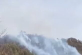 video incendiul de amploare dintr o padure din arges nestins nici dupa 24 ore a fost chemat si un elicopter black hawk 68036850838bf