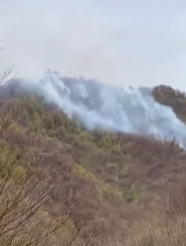 Flăcările devastatoare din pădurea Argeșului continuă să bântuie, după 24 de ore de luptă. Intervine un elicopter Black Hawk! 1 video incendiul de amploare dintr o padure din arges nestins nici dupa 24 ore a fost chemat si un elicopter black hawk 68036850838bf