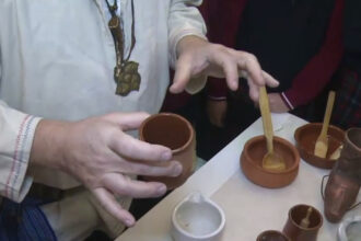 video leacuri dacice si demonstratii de farmacie straveche unde pot fi vazute si plantele medicinale folosite de stramosi pentru tratamente 67f19fa5bc084
