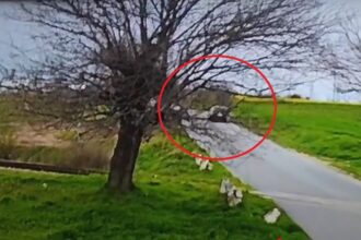 video momentul impactului de la accidentul rutier din lumina unde doua persoane au murit 67f7aa1add1e5
