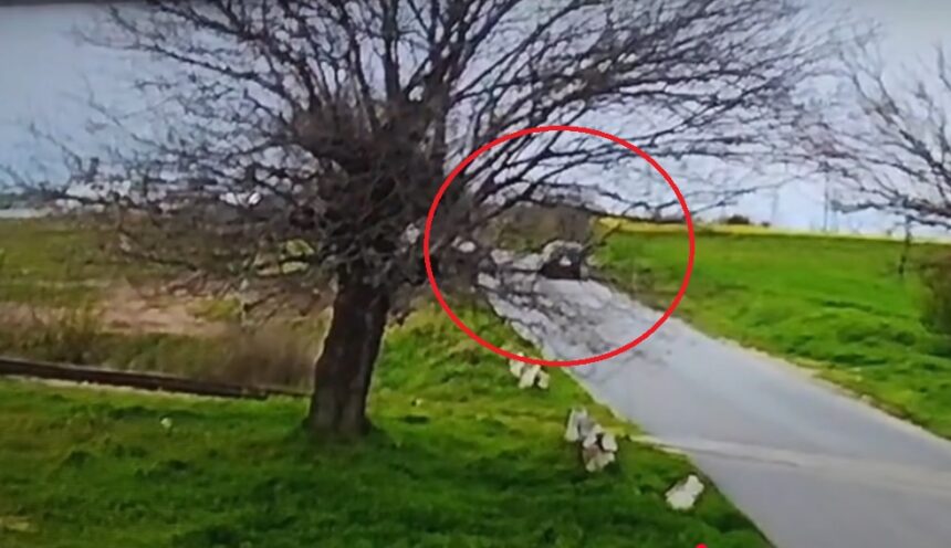 Impactul tragic din Lumina: Detalii despre accidentul rutier soldat cu două vieți pierdute 1 video momentul impactului de la accidentul rutier din lumina unde doua persoane au murit 67f7aa1add1e5