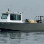 Pescador ilegal, echipat cu un motor furat, prins de polițiștii de frontieră cu 760 de kilograme de pește și 3.600 de metri de plasă la bord. 3 video pescador neinregistrat propulsat de un motor furat cu peste 760 kilograme de peste la bord si 3 600 metri de plasa depistate de politistii de frontiera 67f3babab3615
