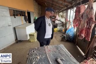 video piedone in control la o ferma de langa bucuresti unde se taiau miei si iezi ce au descoperit comisarii 67ff4bd5d2e44