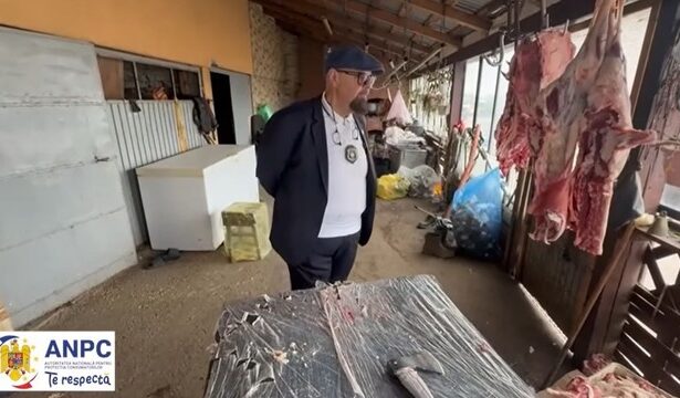 video piedone in control la o ferma de langa bucuresti unde se taiau miei si iezi ce au descoperit comisarii 67ff4bd5d2e44