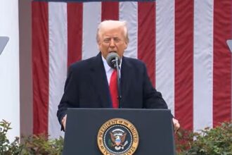 video trump loveste cu taxe pe masini intreaga lume la comert prietenul este mai rau decat dusmanul toate taxele impuse tabel 67edaf1c35c7e