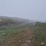 Furtună de zăpadă intensă la Hârșova: Județul Constanța, sub alertă de cod galben pentru vânt și ninsoare. 2 video viscol puternic in zona harsova judetul constanta sub avertizare cod galben de vant si precipitatii 67f7e005a9dba