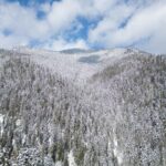 Romsilva marchează un moment deosebit: peste 4.000 de hectare de pădure intră în patrimoniul național! 3 videofoto achizitie istorica romsilva a cumparat peste 4 000 de hectare de padure 67f8f7c379a07
