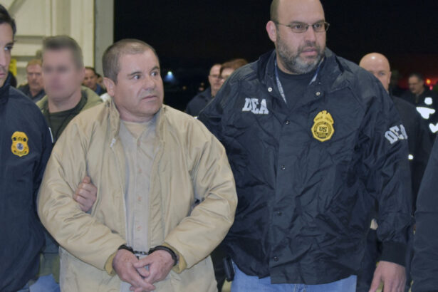 17 membri ai familiei lui el chapo s au predat autoritatilor americane ar putea fi inclusi in programul de protectie a martorilor 68232c3d5e9af