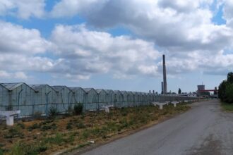 administratia locala vrea sa revitalizeze si zona agro industriala a municipiului dar se impotmoleste pe drum 683388d81d129